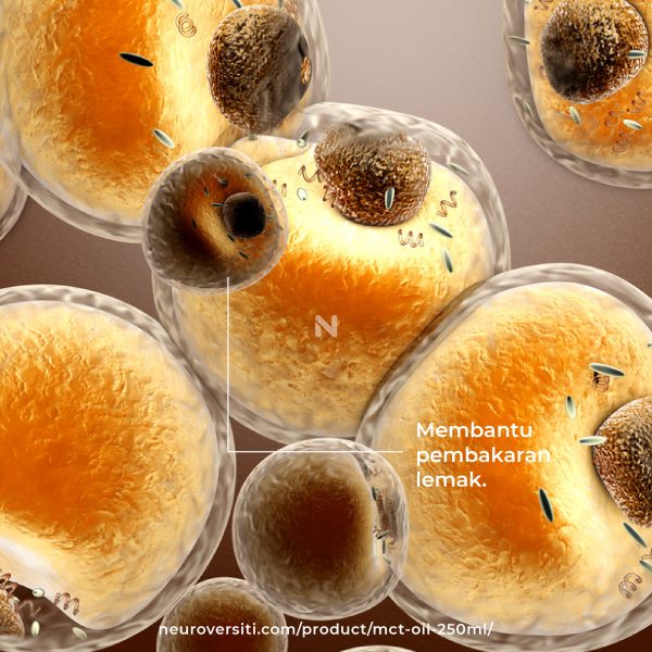 MINI MCT OIL (20ml) - Image 15